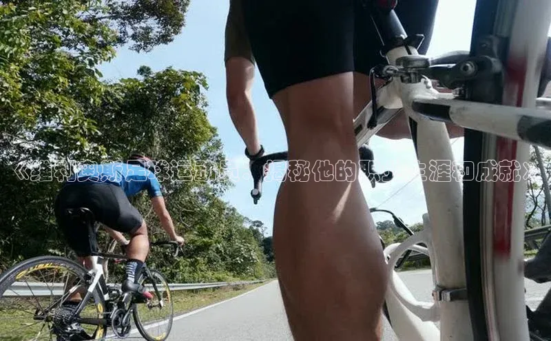 米兰官网首页登录入口百度网盘《维利奥斯足球运动员：揭秘他的职业生涯和成就》