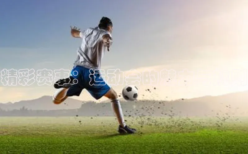 米兰体育全站app官网