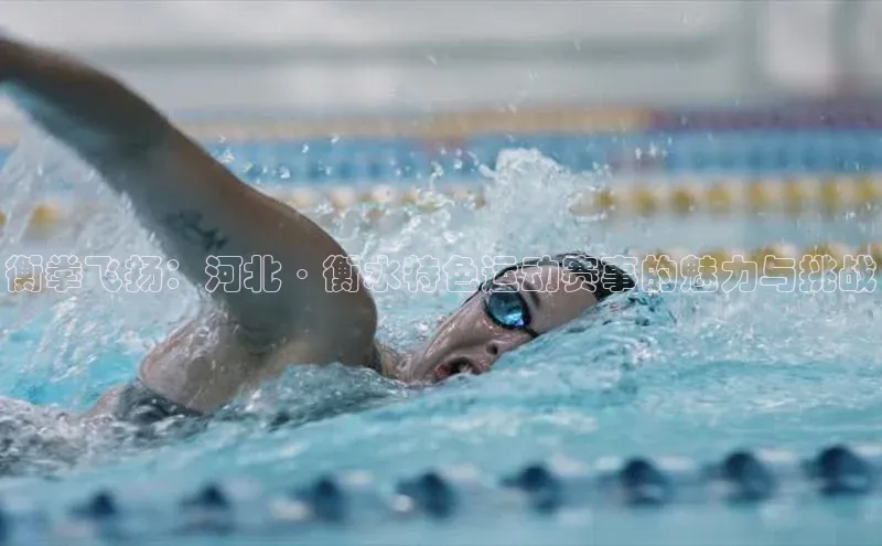 衡拳飞扬：河北·衡水特色运动赛事的魅力与挑战