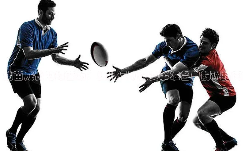 幼苗成长的绿茵场：幼儿运动会赛事准备与解说指南