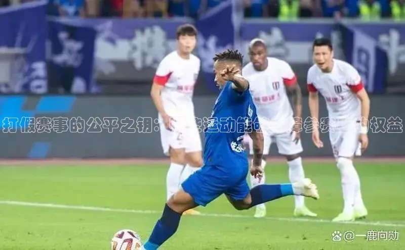 打假赛事的公平之钥：哪些运动能够保障参赛者的权益