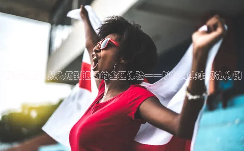 观赛之花：从入场到退场的全程体验——以体育赛事观礼为例