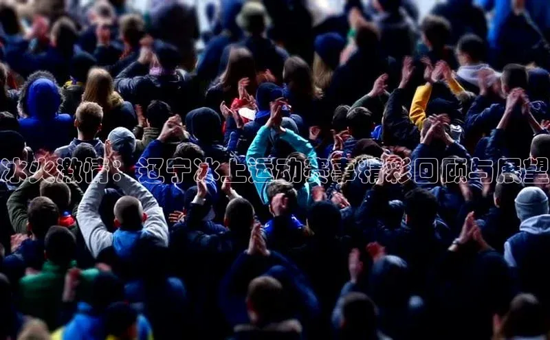 冰火激情：辽宁冰上运动赛事精彩回顾与展望