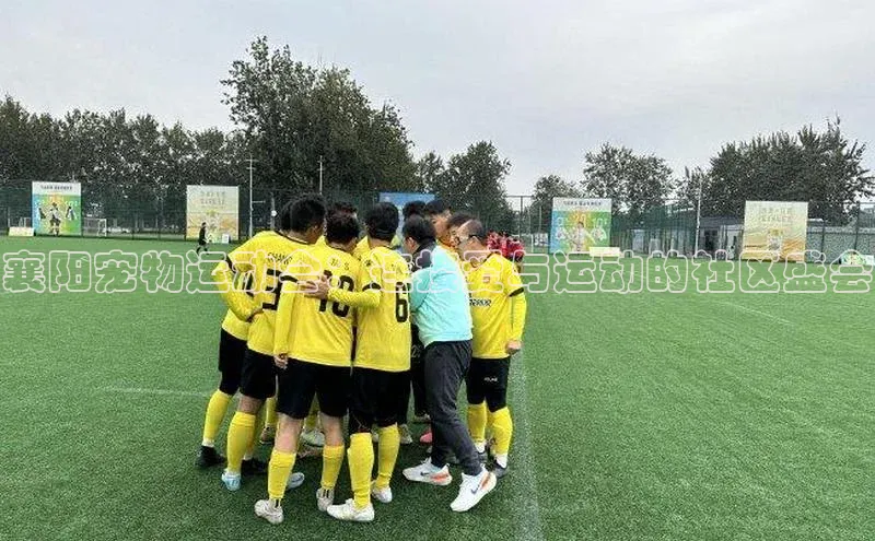 襄阳宠物运动会：连接爱与运动的社区盛会