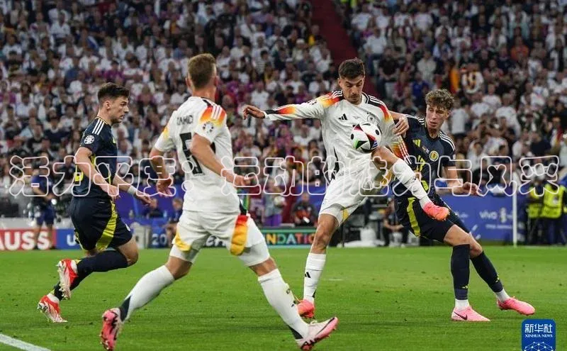 活力平度：运动的魅力与风采