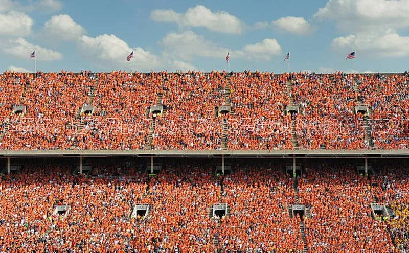 世界杯：足球界的年度盛事？还是最观众众多的赛事？