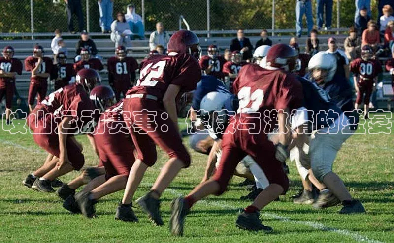 岐山运动赛事：健康与激情的盛宴