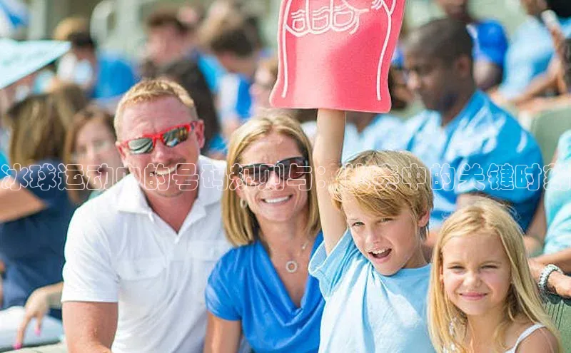 冰球运动中的号码规则与：比赛中的关键时刻