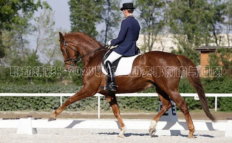 米兰app·体育登录入口