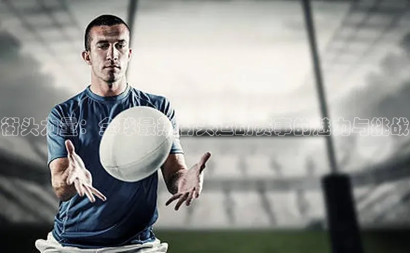 米兰app官方入口下载