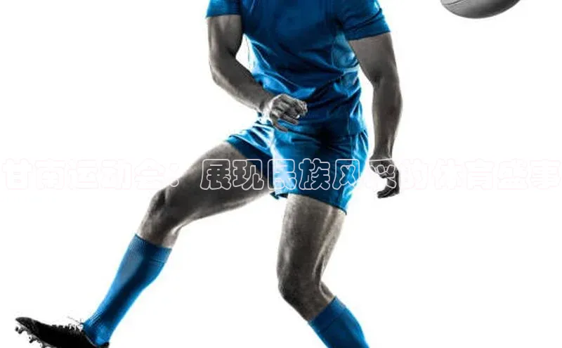 甘南运动会：展现民族风采的体育盛事