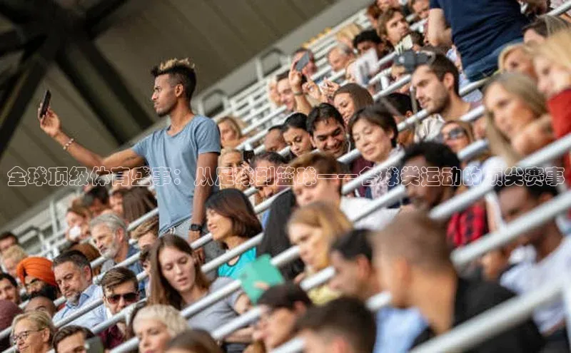 米兰app官方正版官网