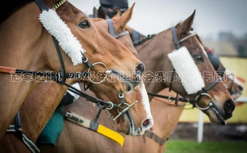 冠军之路：2023年度运动会赛事排名与展望