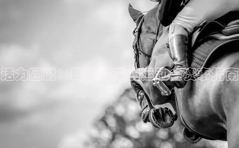 活力四射：即将到来的运动会赛事指南